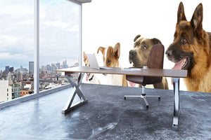 Dogs in row isolated on white Wall Mural Wallpaper - Canvas Art Rocks - 3
