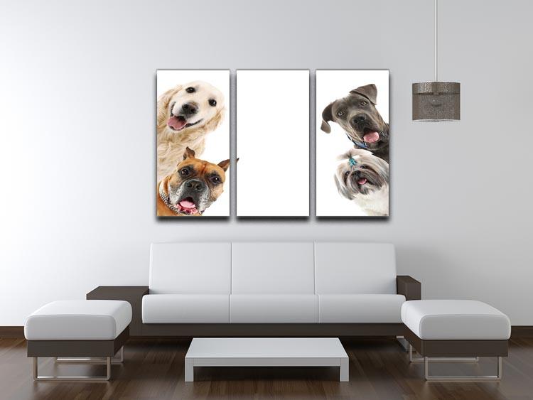 Dogs isolated on white 3 Split Panel Canvas Print - Canvas Art Rocks - 3