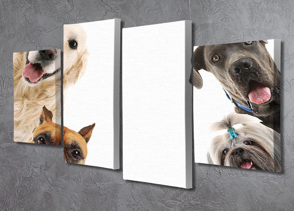 Dogs isolated on white 4 Split Panel Canvas - Canvas Art Rocks - 2