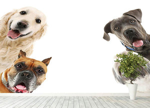Dogs isolated on white Wall Mural Wallpaper - Canvas Art Rocks - 4