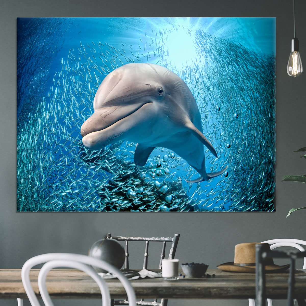 Dolphin underwater on ocean Canvas Print or Poster