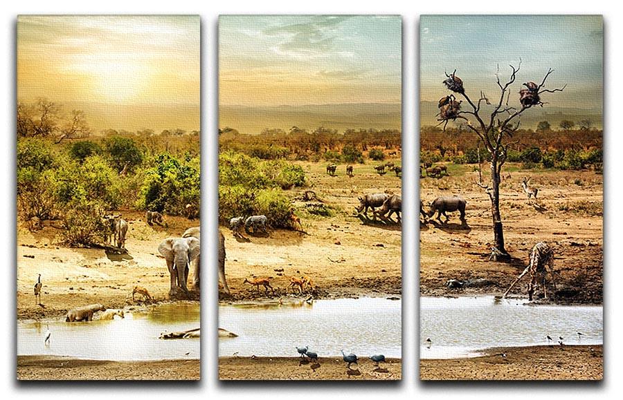 Dreamy scene of common South African safari 3 Split Panel Canvas Print - Canvas Art Rocks - 1