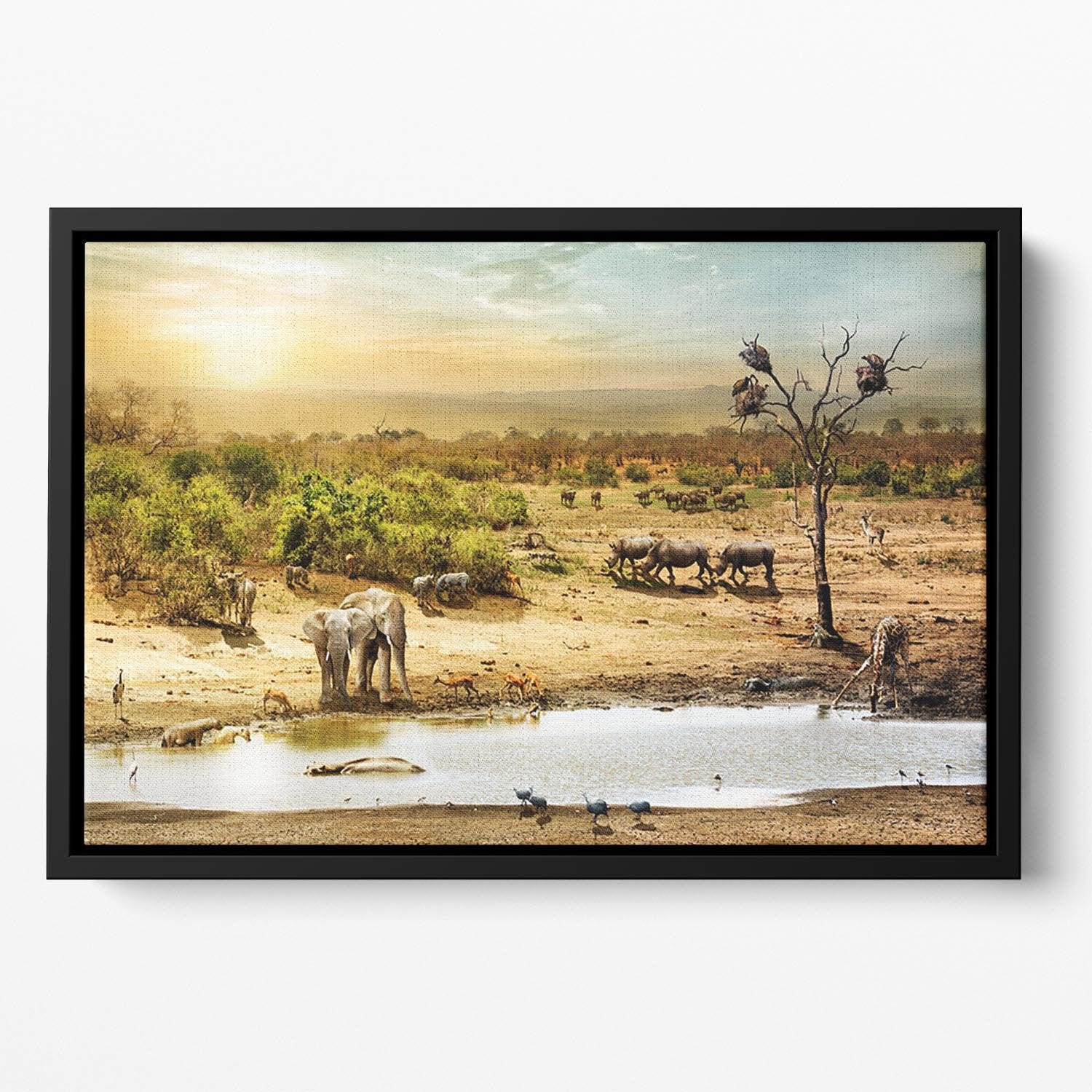 Dreamy scene of common South African safari Floating Framed Canvas - Canvas Art Rocks - 2