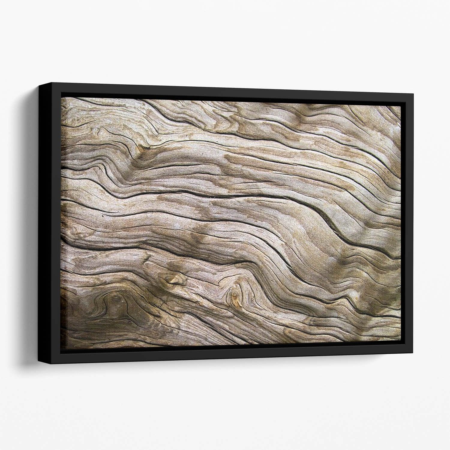 Driftwood Floating Framed Canvas