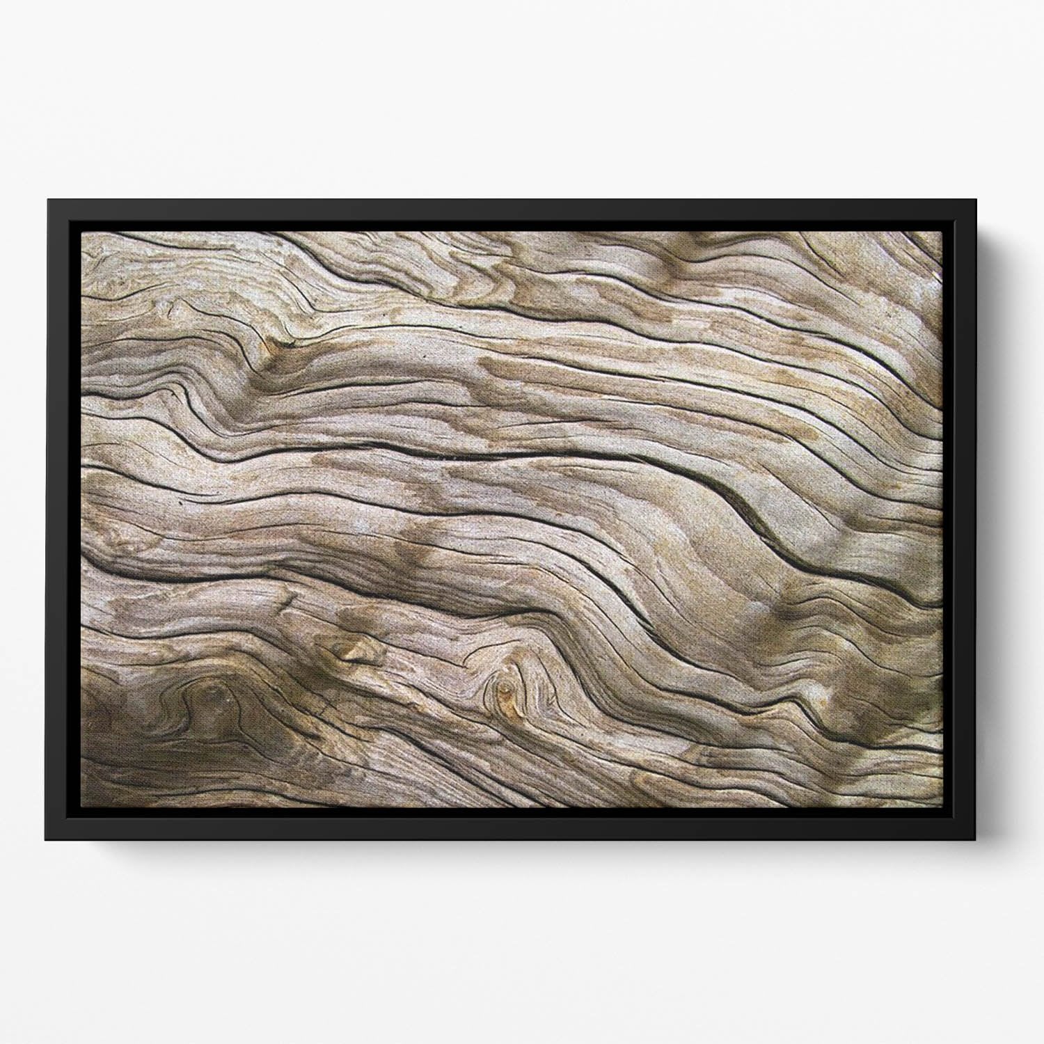 Driftwood Floating Framed Canvas