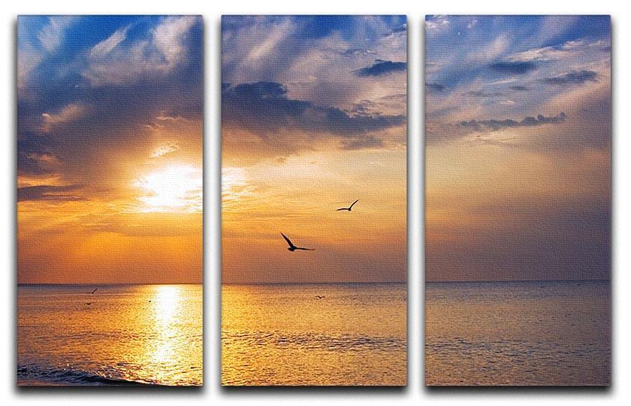 Early morning sunrise over the sea and a birds 3 Split Panel Canvas Print - Canvas Art Rocks - 1
