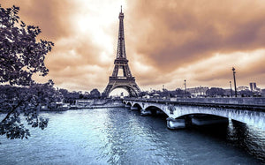 Eiffel Tower from Seine Wall Mural Wallpaper - Canvas Art Rocks - 1