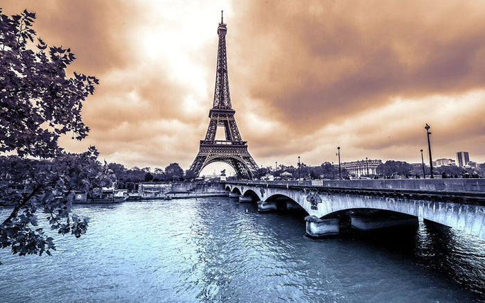 Eiffel Tower from Seine Wall Mural Wallpaper