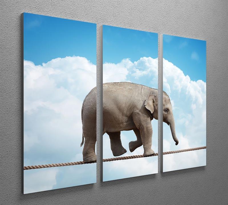 Elehant calf balancing on a tightrope 3 Split Panel Canvas Print - Canvas Art Rocks - 2