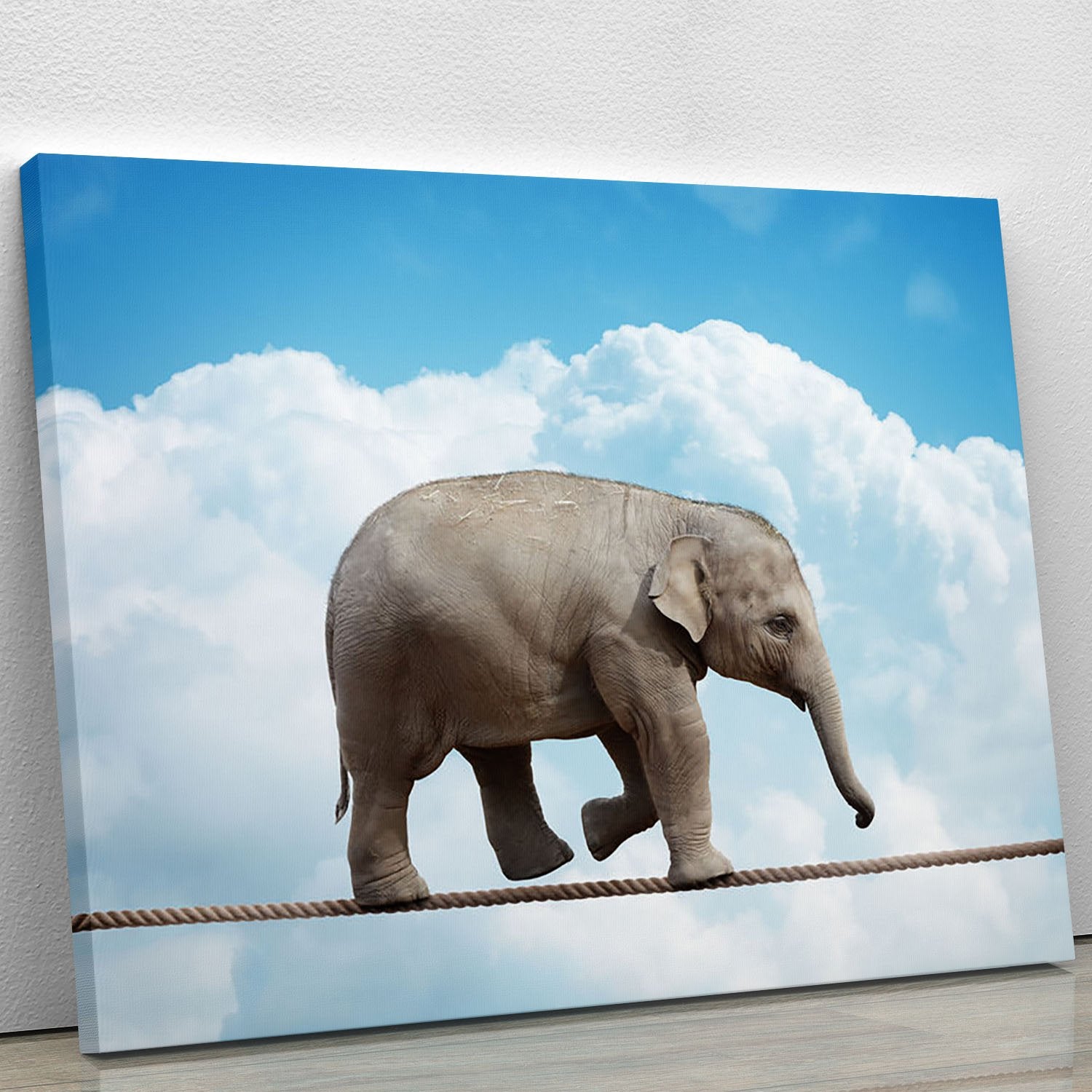 Elehant calf balancing on a tightrope Canvas Print or Poster