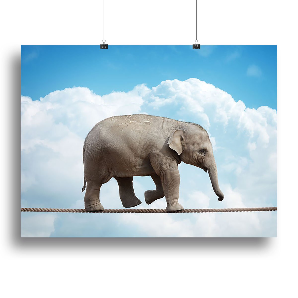 Elehant calf balancing on a tightrope Canvas Print or Poster
