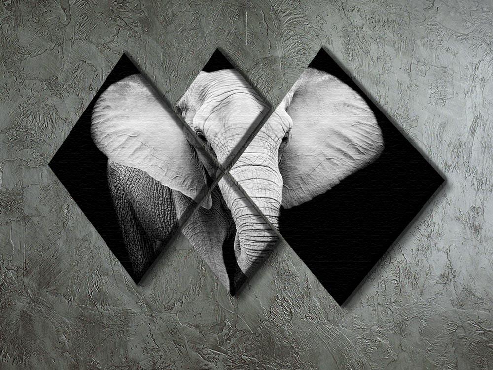 Elephant 4 Square Multi Panel Canvas - Canvas Art Rocks - 2
