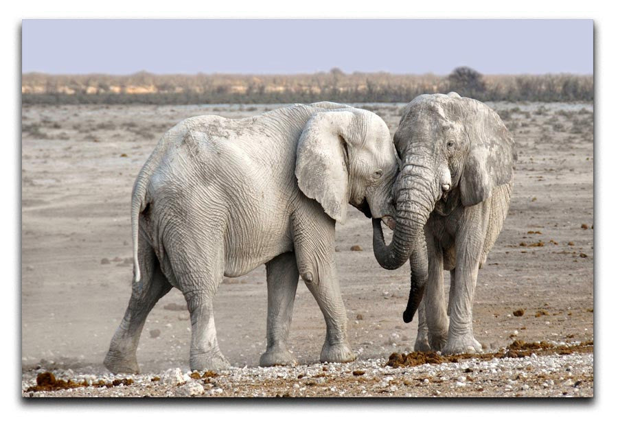 Elephant Print - Canvas Art Rocks - 1