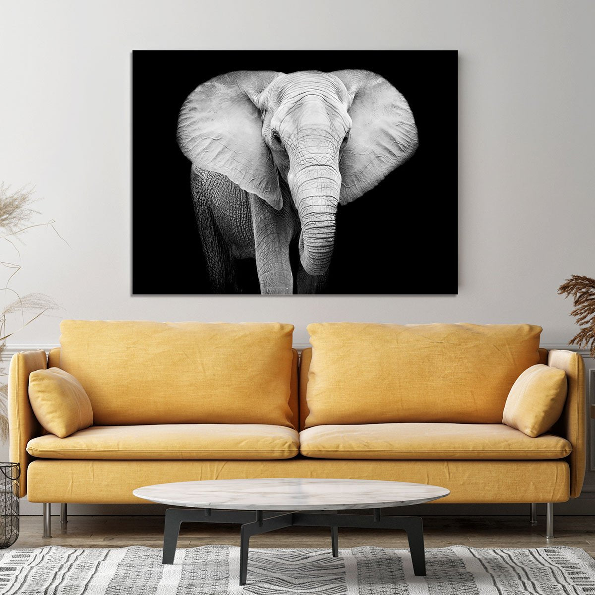 Elephant Canvas Print or Poster