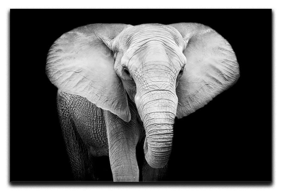 Elephant Canvas Print or Poster - Canvas Art Rocks - 1