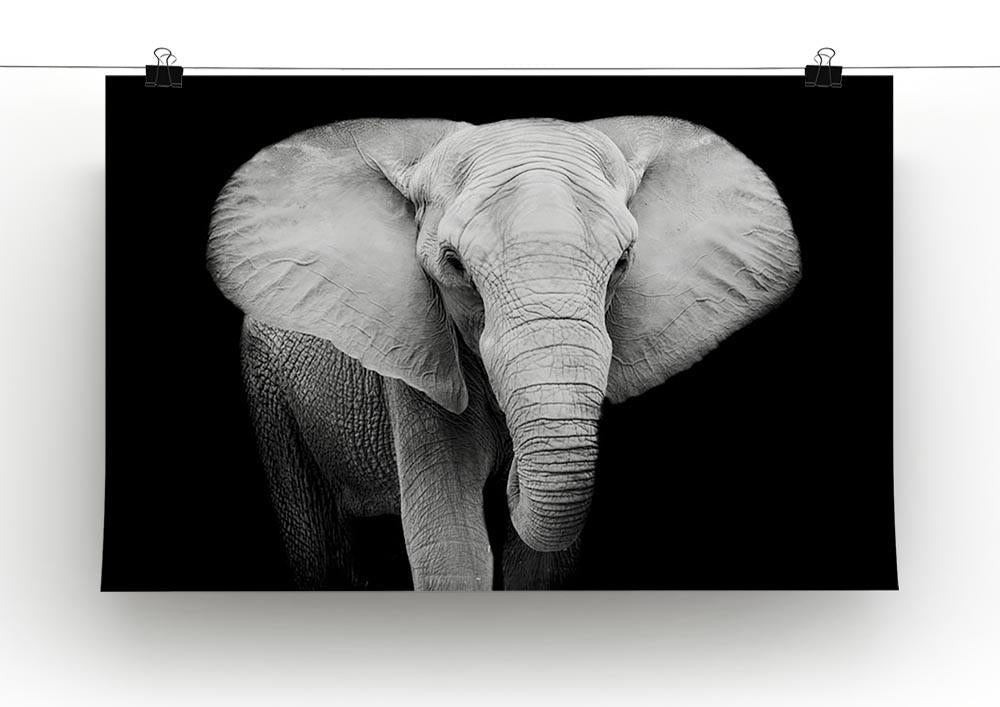 Elephant Canvas Print or Poster - Canvas Art Rocks - 2