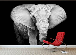 Elephant Wall Mural Wallpaper - Canvas Art Rocks - 2