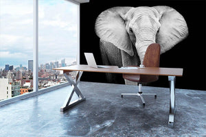 Elephant Wall Mural Wallpaper - Canvas Art Rocks - 3