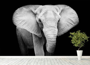 Elephant Wall Mural Wallpaper - Canvas Art Rocks - 4