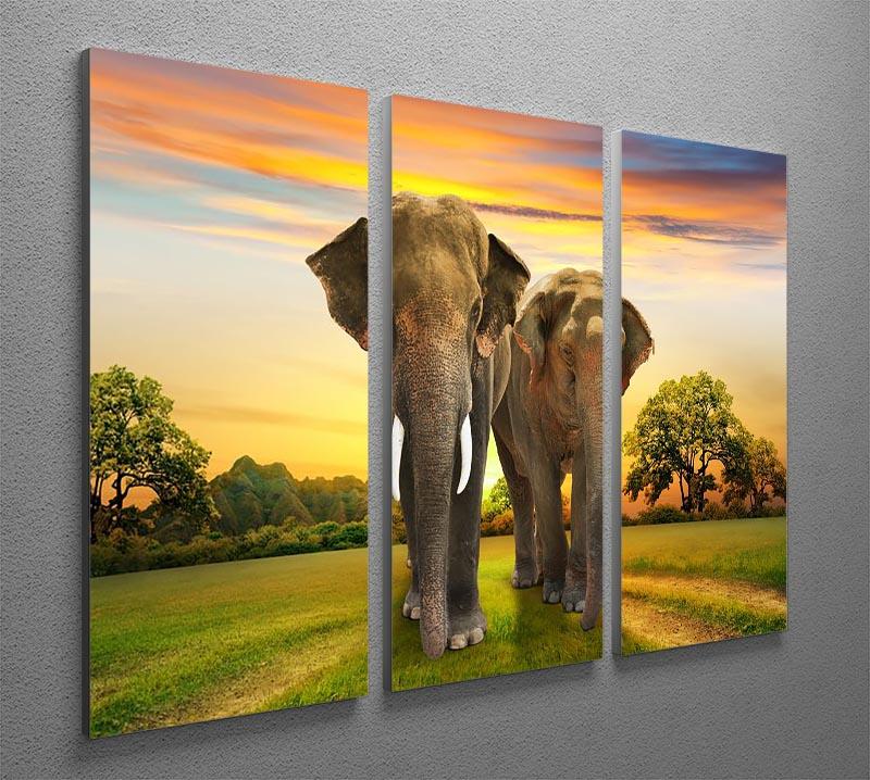 Elephant family on sunset 3 Split Panel Canvas Print - Canvas Art Rocks - 2