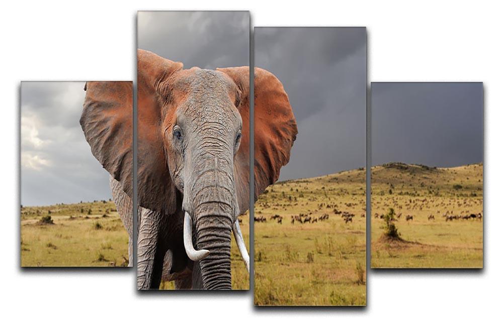 Elephant in National park of Kenya 4 Split Panel Canvas - Canvas Art Rocks - 1
