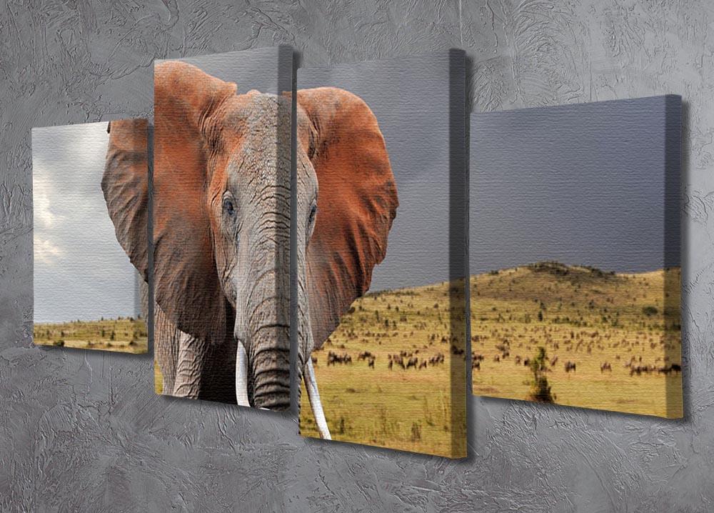 Elephant in National park of Kenya 4 Split Panel Canvas - Canvas Art Rocks - 2
