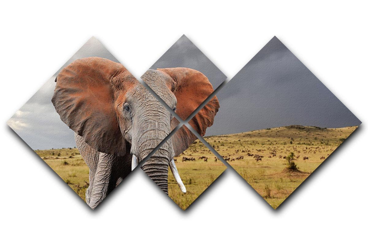 Elephant in National park of Kenya 4 Square Multi Panel Canvas - Canvas Art Rocks - 1