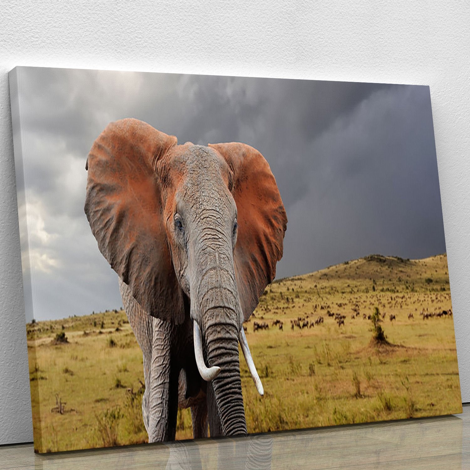 Elephant in National park of Kenya Canvas Print or Poster