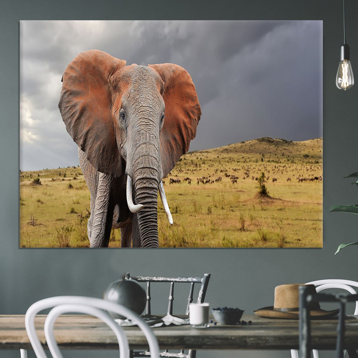 Elephant in National park of Kenya Canvas Print or Poster