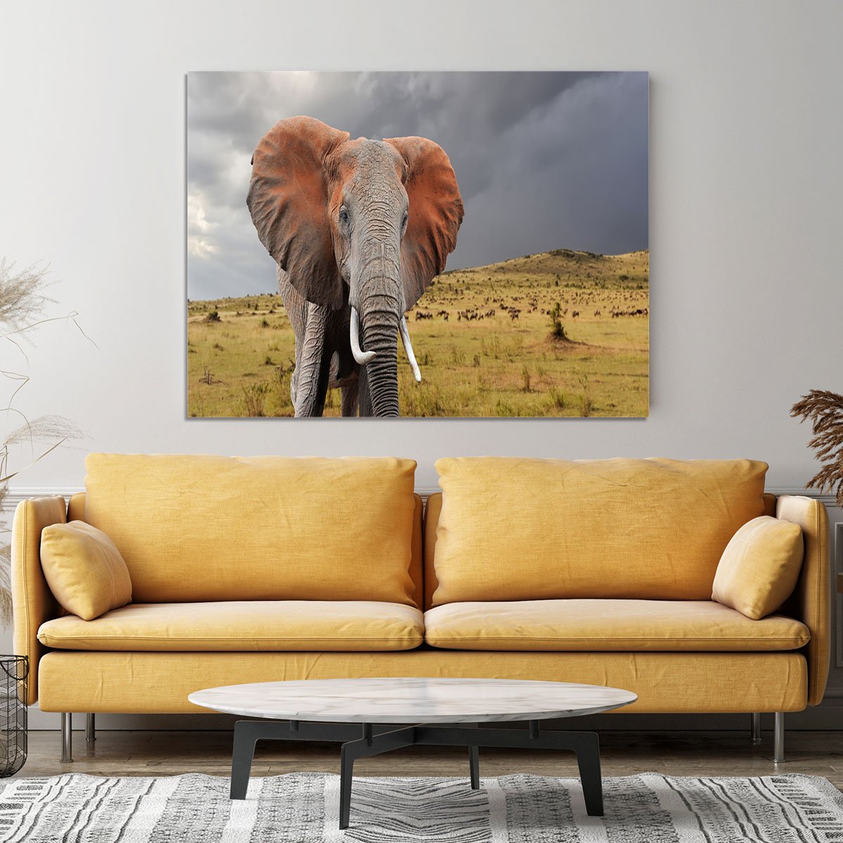 Elephant in National park of Kenya Canvas Print or Poster