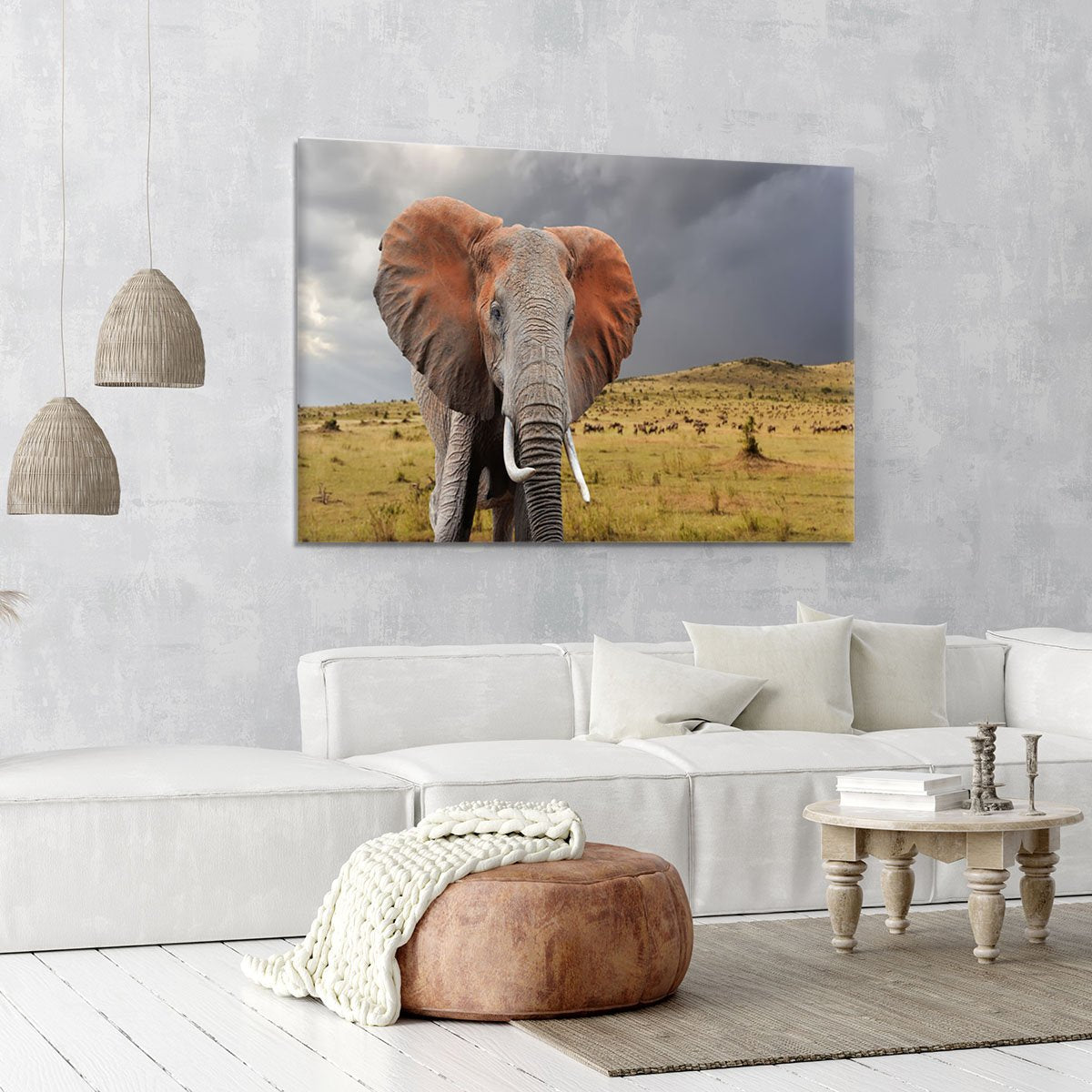 Elephant in National park of Kenya Canvas Print or Poster