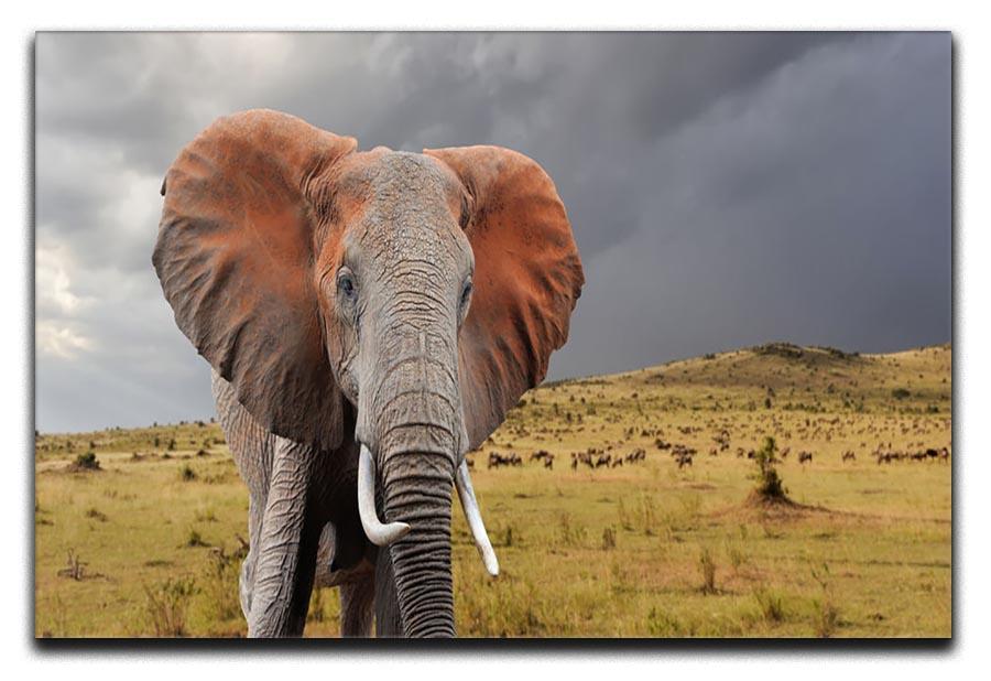 Elephant in National park of Kenya Canvas Print or Poster - Canvas Art Rocks - 1