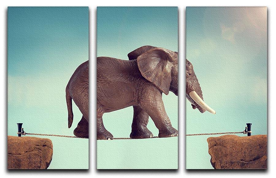 Elephant on a tightrope 3 Split Panel Canvas Print - Canvas Art Rocks - 1