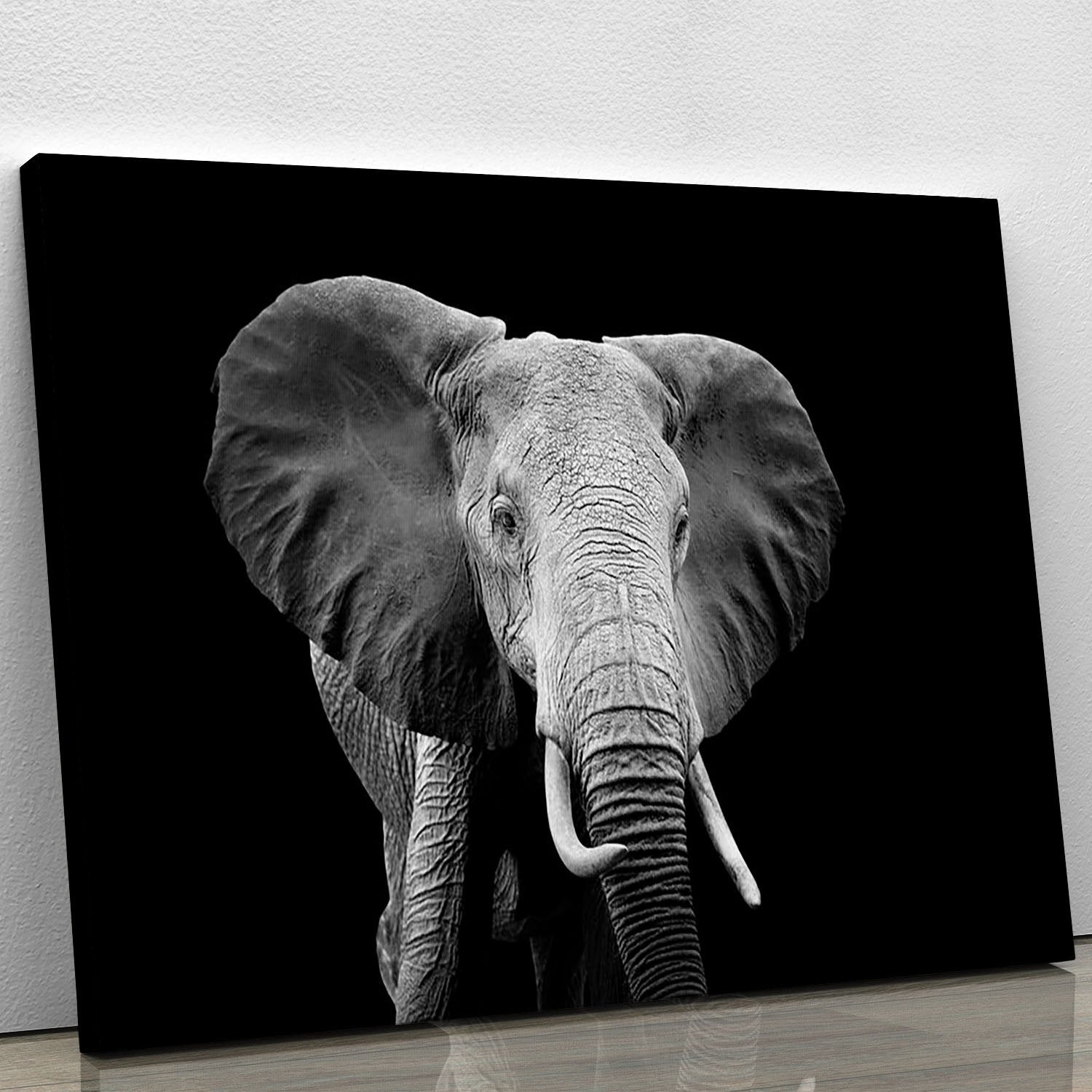 Elephant on dark background. Black and white image Canvas Print or Poster