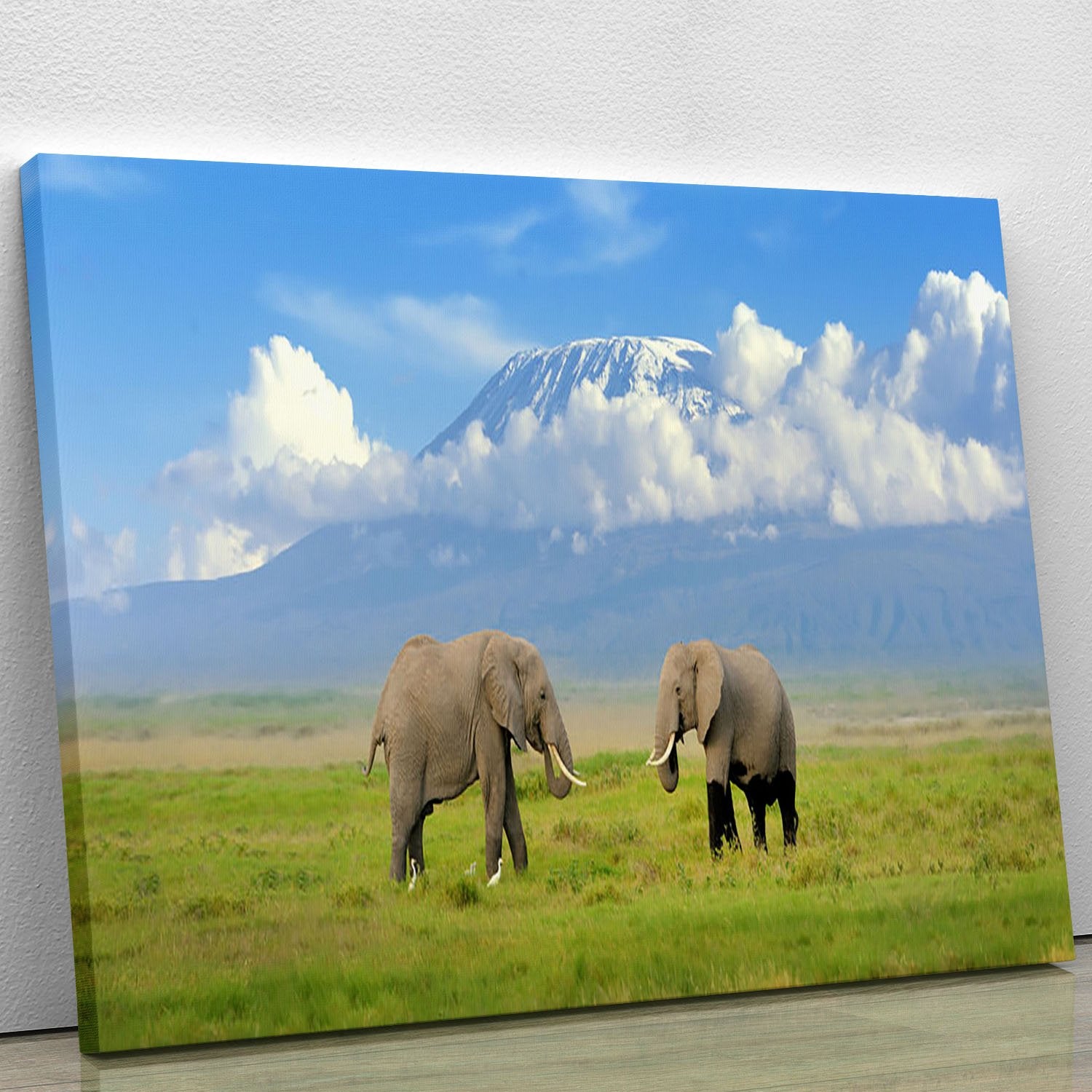 Elephant with Mount Kilimanjaro in the background Canvas Print or Poster