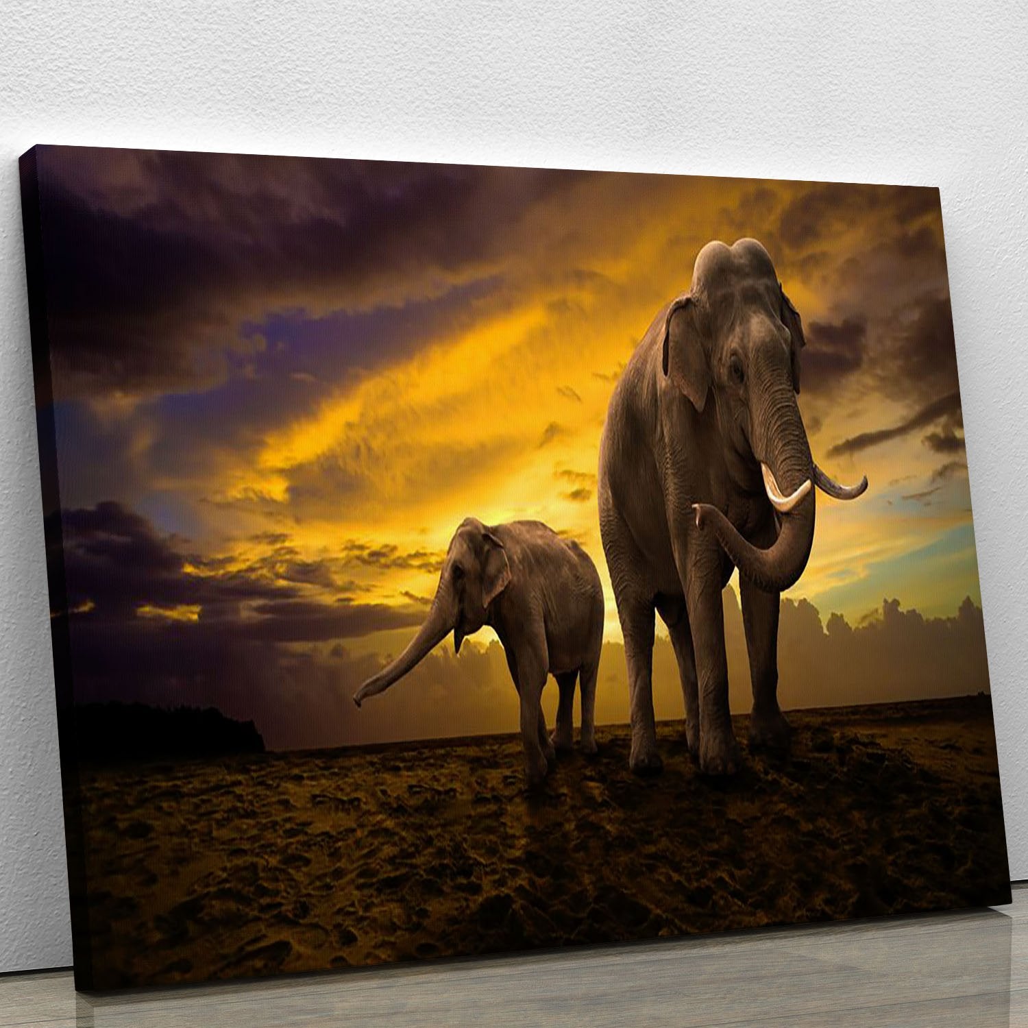 Elephants family on sunset Canvas Print or Poster