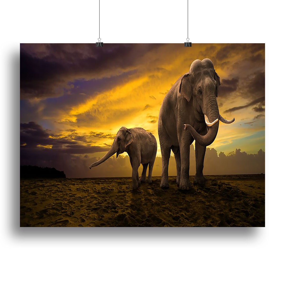 Elephants family on sunset Canvas Print or Poster