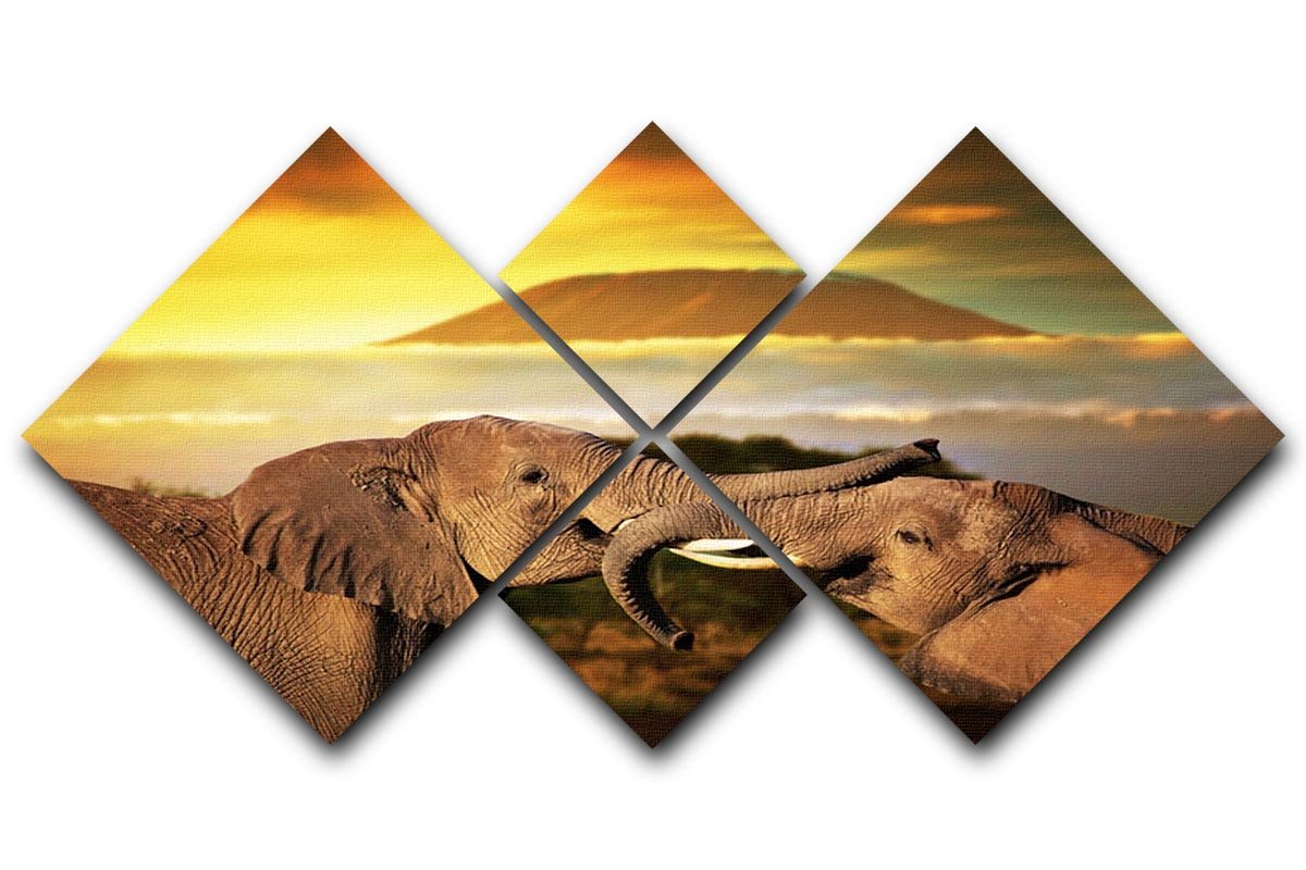 Elephants playing with their trunks 4 Square Multi Panel Canvas - Canvas Art Rocks - 1