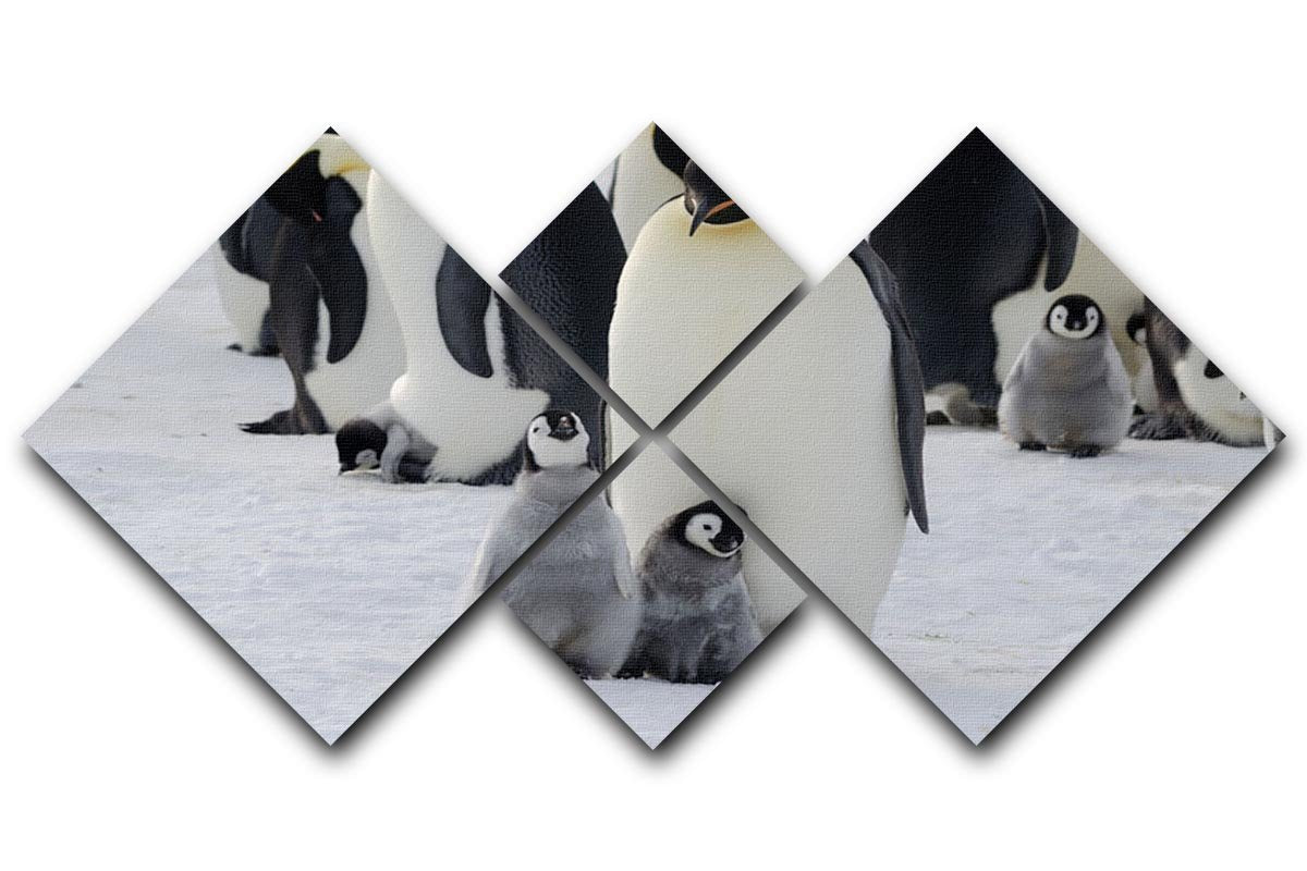Emperor Penguin Parent and Chicks 4 Square Multi Panel Canvas - Canvas Art Rocks - 1