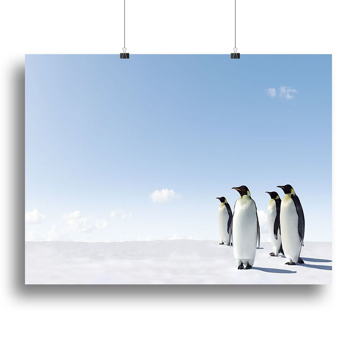 Emperor Penguins in Antacrctica Canvas Print or Poster