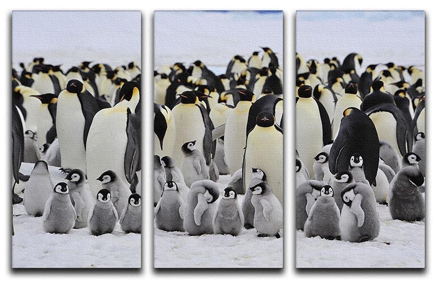 Emperor Penguins with chick 3 Split Panel Canvas Print - Canvas Art Rocks - 1