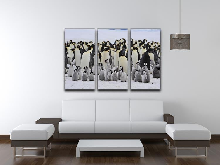 Emperor Penguins with chick 3 Split Panel Canvas Print - Canvas Art Rocks - 3