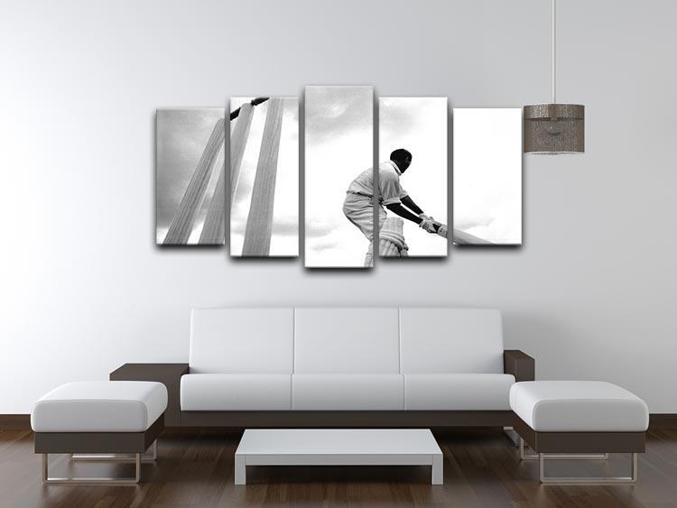England cricketer Basil D Oliveira 5 Split Panel Canvas - Canvas Art Rocks - 3