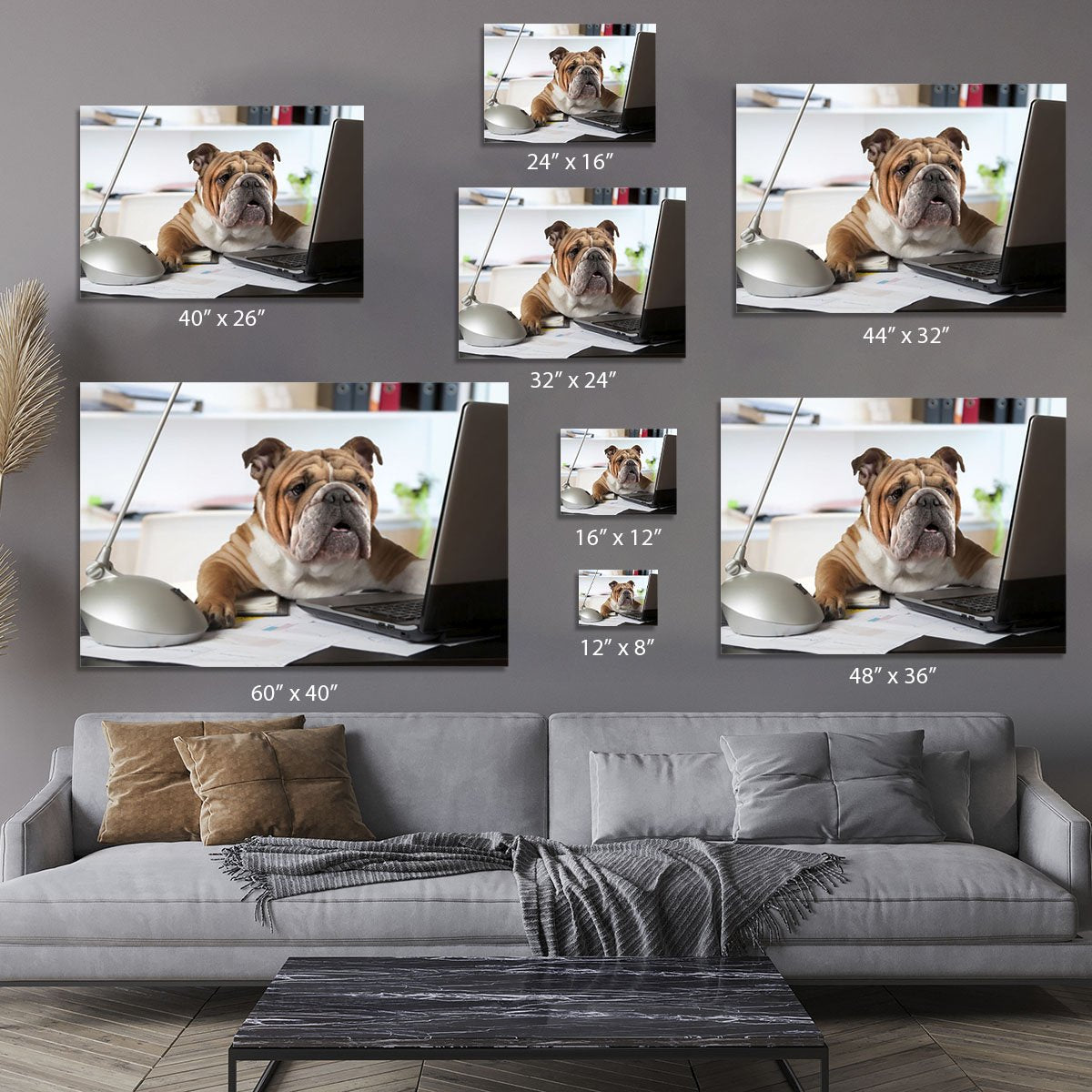 English Bulldog sitting at a desk Canvas Print or Poster