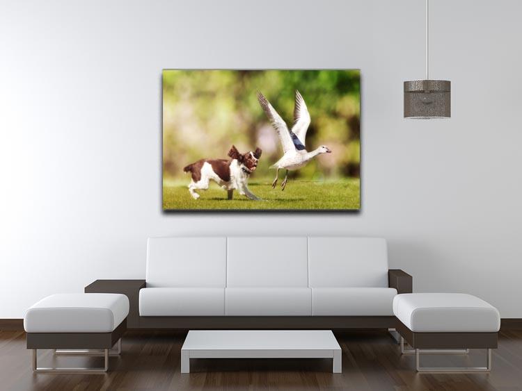 English Springer Spaniel dog chasing large Snow Goose Canvas Print or Poster - Canvas Art Rocks - 4