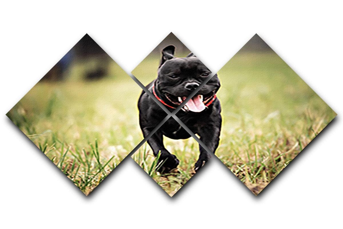 English staffordshire bull terrier running in road 4 Square Multi Panel Canvas - Canvas Art Rocks - 1