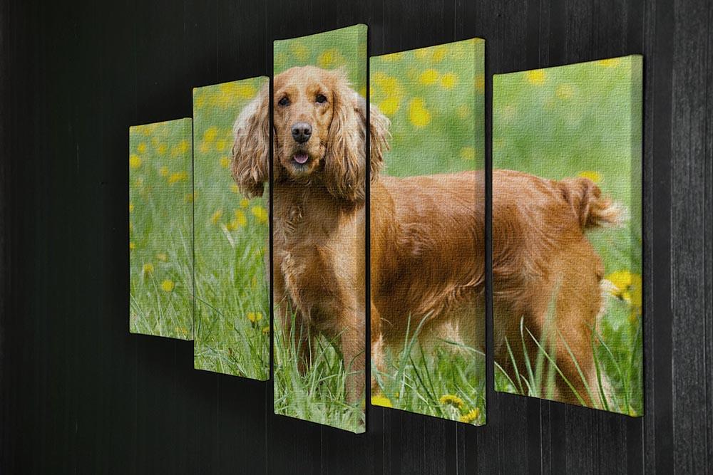 Englishl cocker spaniel on the grass 5 Split Panel Canvas - Canvas Art Rocks - 2