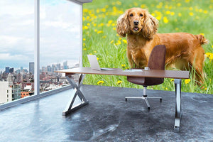 Englishl cocker spaniel on the grass Wall Mural Wallpaper - Canvas Art Rocks - 3