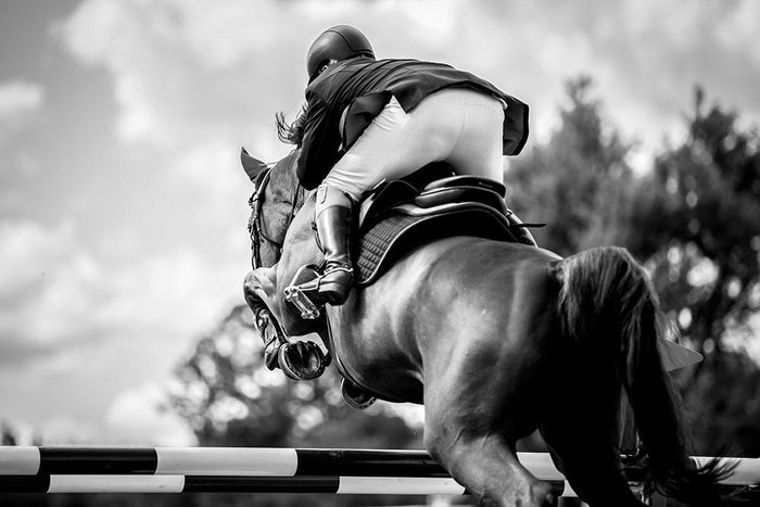 Equestrian Sports Wall Mural Wallpaper