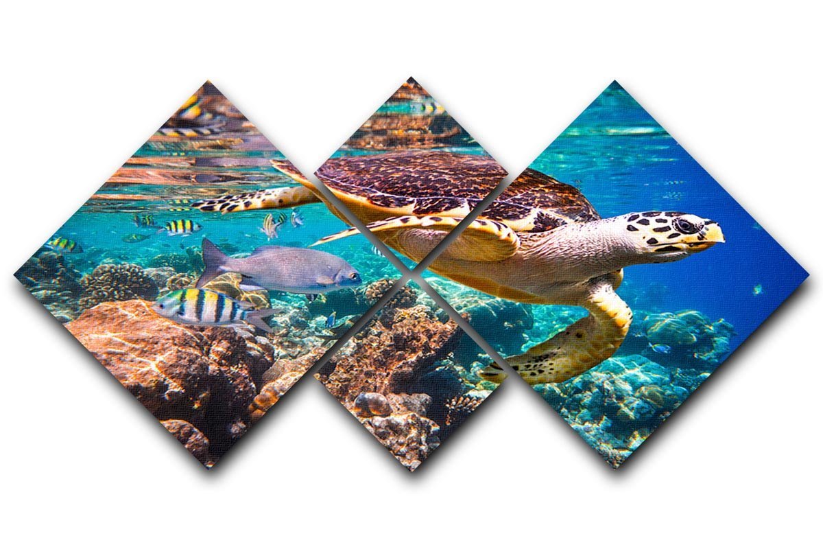 Eretmochelys imbricata 4 Square Multi Panel Canvas  - Canvas Art Rocks - 1